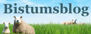 http://www.bistumsblog.de