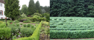 Kräutergarten und Buchsbaumlabyrinth (Bilder: Katharina Deuling) Kräutergarten und Buchsbaumlabyrinth (Bilder: Katharina Deuling)