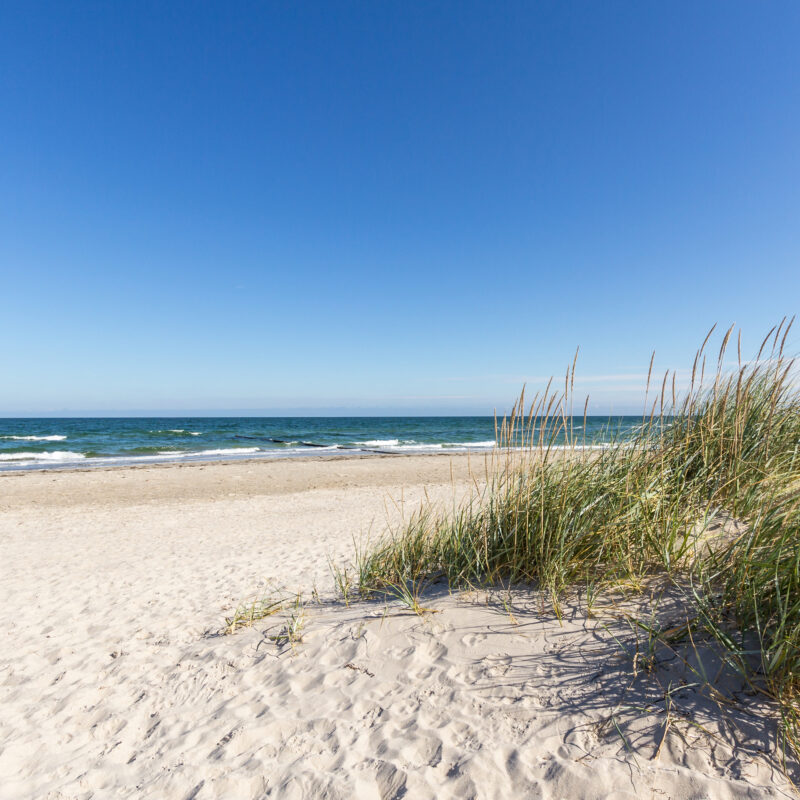 Nordseestrand