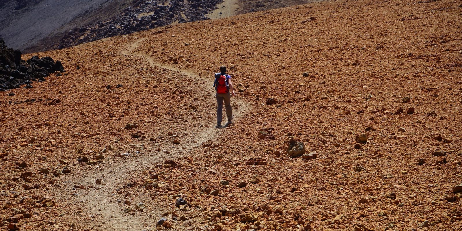 Wanderer in Wüste