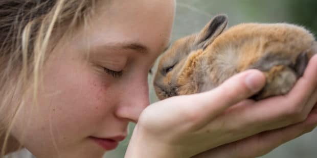 Mädchen trägt kleines Kaninchen