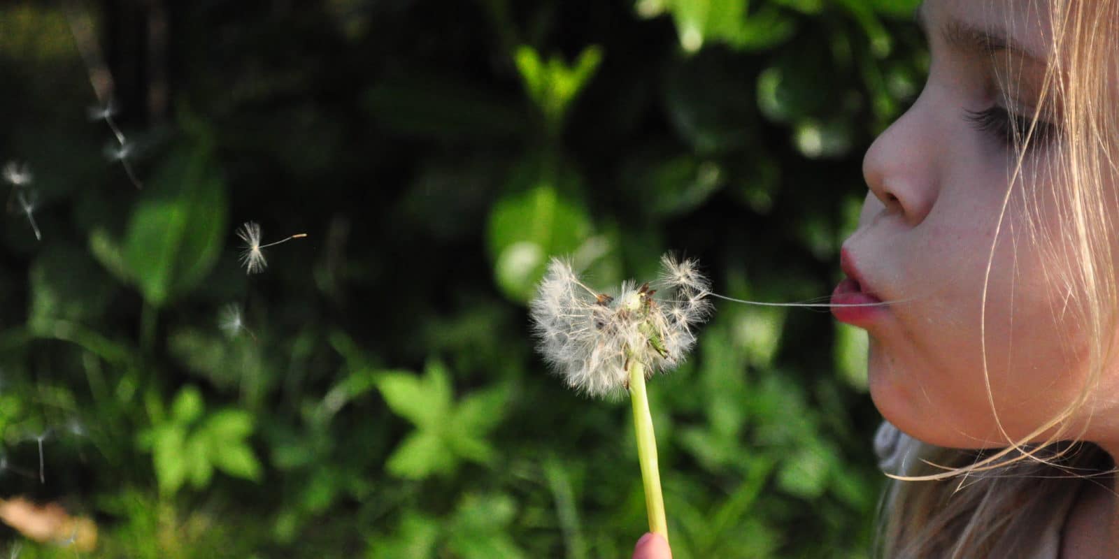 Mädchen mit Pusteblume