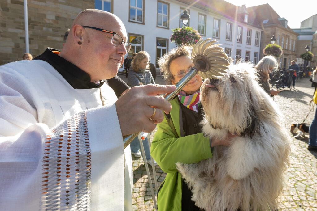 Diakon Carsten Lehmann segnet vor dem Osnabrücker Dom einmal im Jahr Tiere und Menschen.