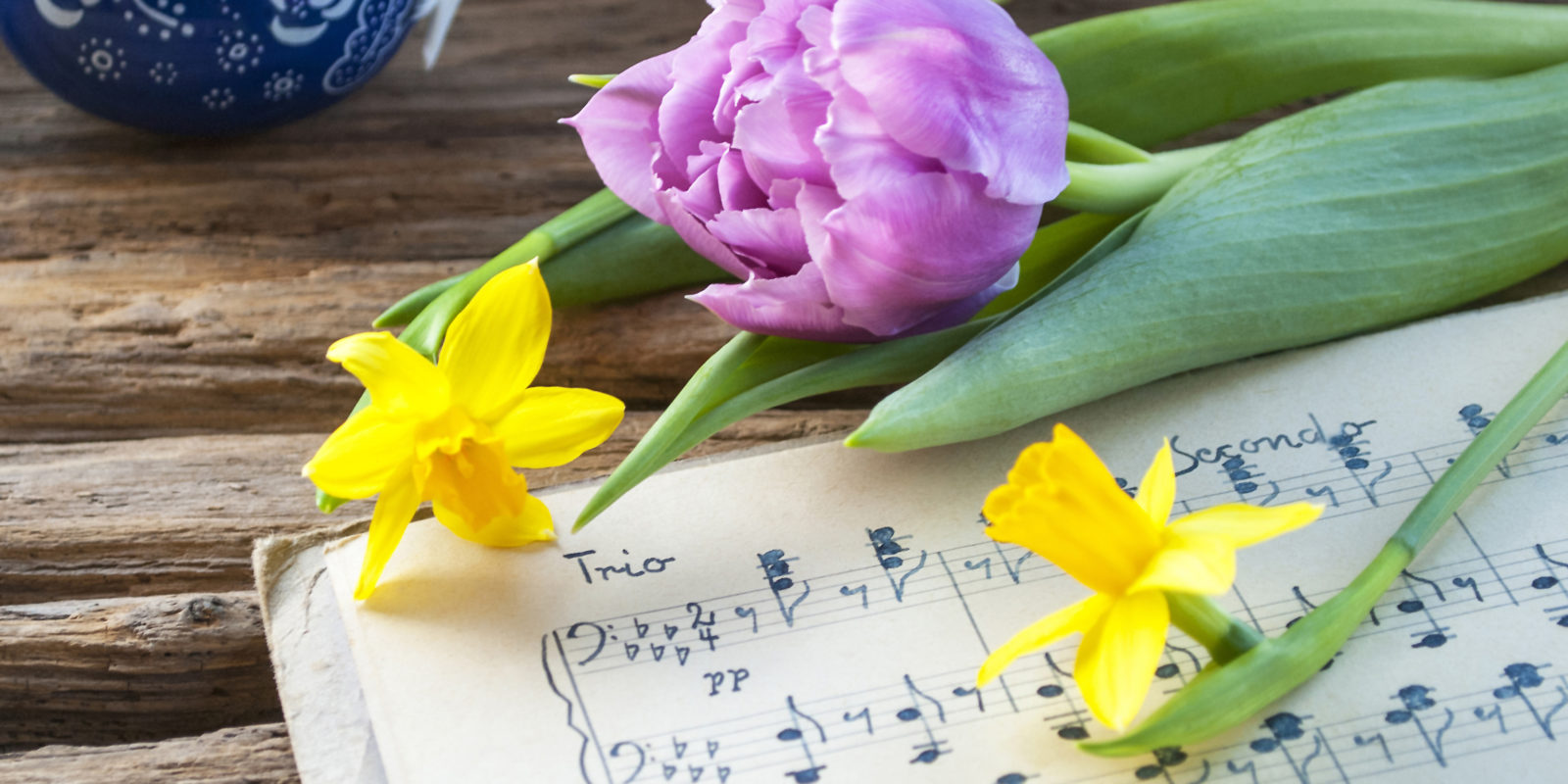 Frühlingsblumen liegen auf Notenblättern