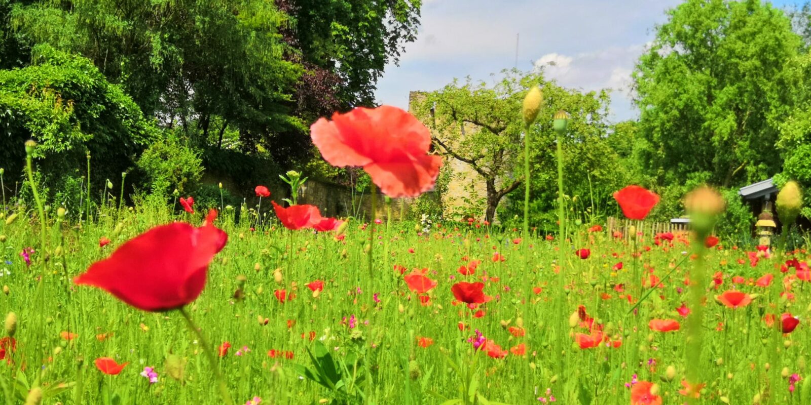 Engagement für die Umwelt wird belohnt