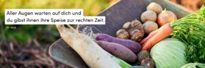 Ernte, Erntedank, Gemüse