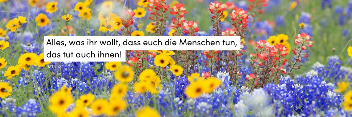 Blumen, Bunt