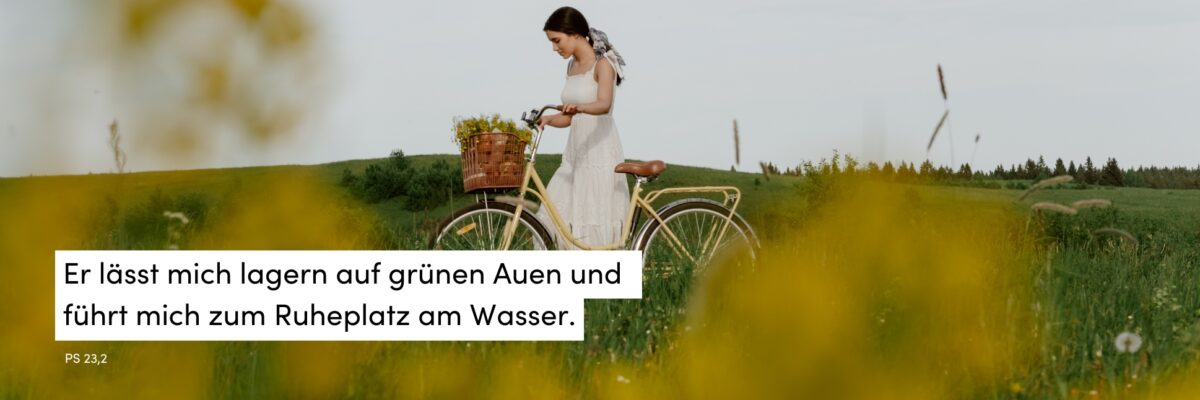 Wiese, Frau, Sommer, Fahrrad