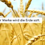 Korn, Getreide, Sommer