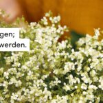 Blumen, Frühling, Buch