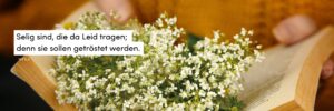 Blumen, Frühling, Buch