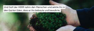 Umweltschutz, Moos, Hände