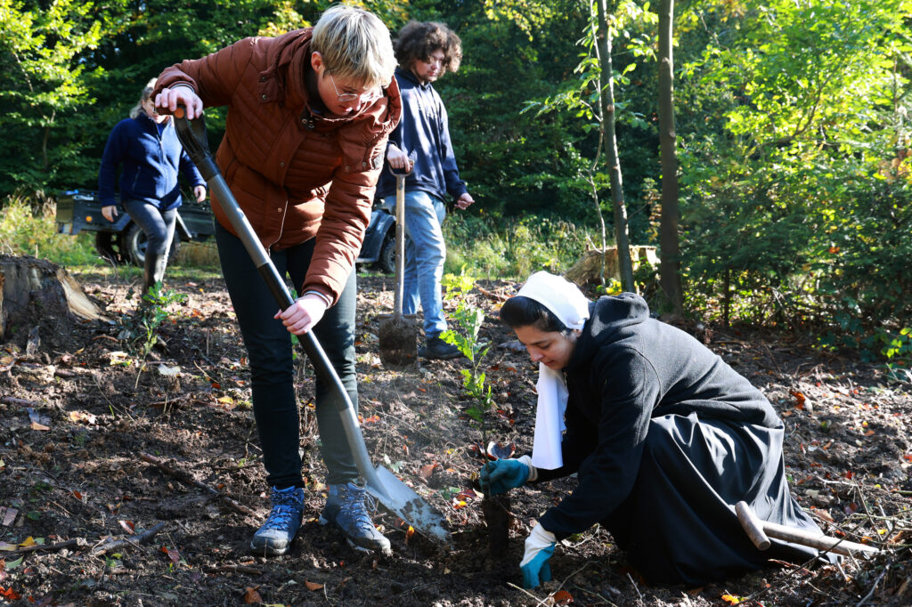 Schwester Veronika von den Salomonen-Inseln pflanzt im Bischofswald in Rulle einen Baum.