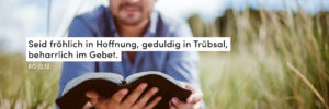 Mann, Dünen, lesen