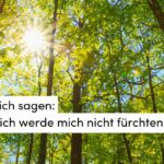 Wald. Sonne, Lichtstrahl