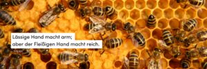 Biennen, Honig