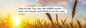 Sonnenaufgang, Getreide