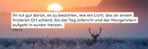 Morgenstimmung, Winter, Hirsch