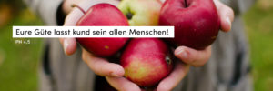 Apfel, Ernte, Hände