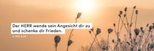 Winter, Sonnenaufgang