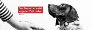 Freund, Hund, Blick