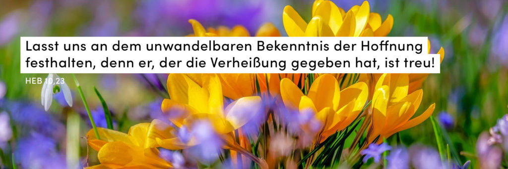 Frühling, Blumen, bunt