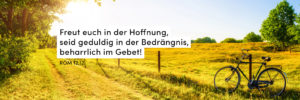 Sommer, Sonne, Wiese, Fahrrad
