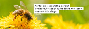 Blüte, Biene