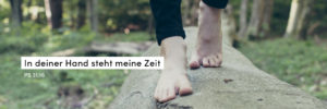 Wald, Füße