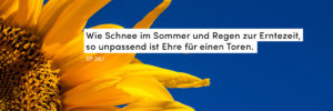 Sonnenblume, gelb, blau