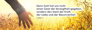 Wiese, Sonne, Hand