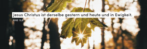Herbst, Sonnenstrahlen, Wald