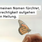 Frau Schmetterling