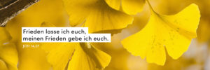 Ginko, Blätter, Herbst