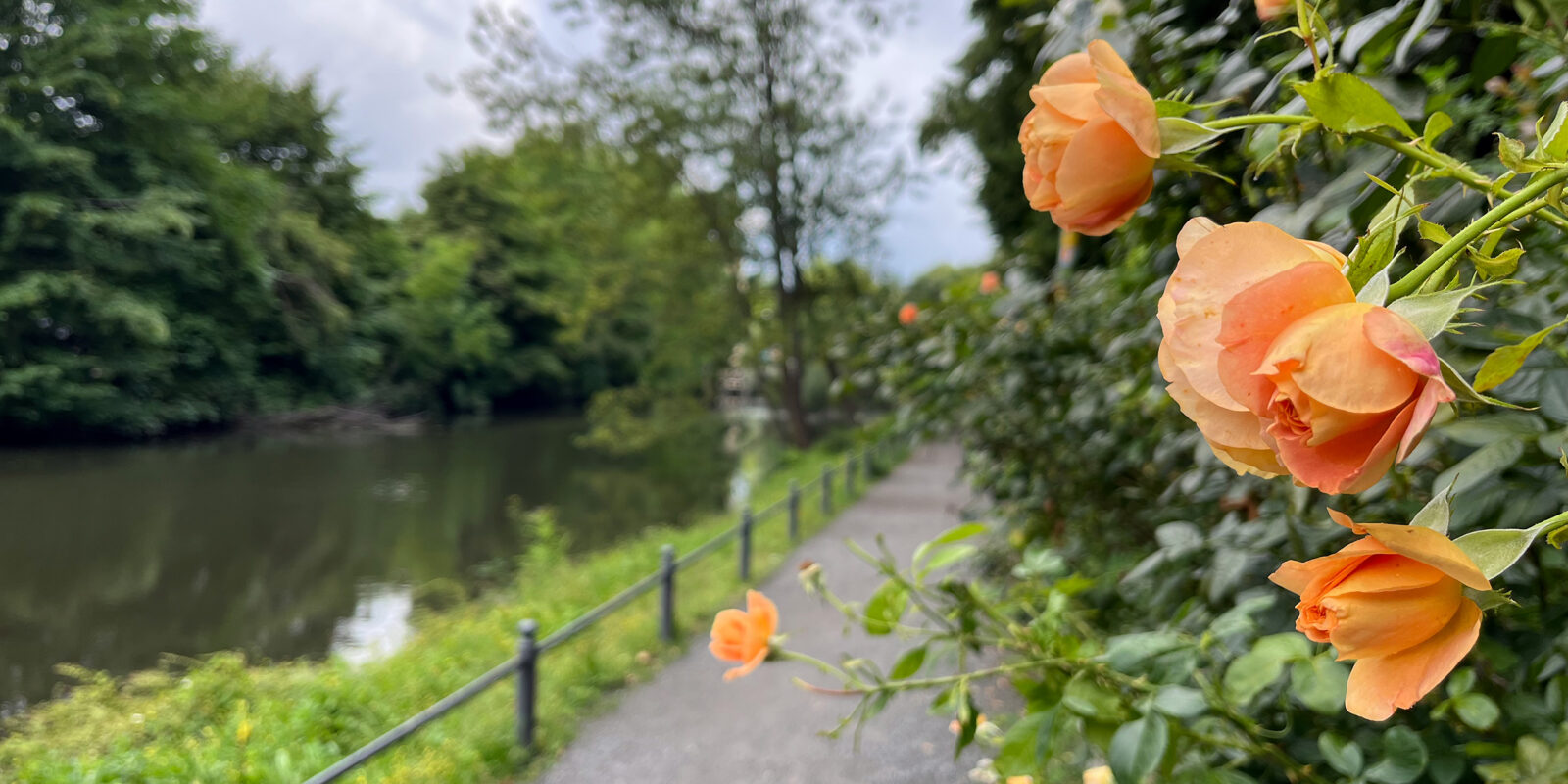 Der Haseuferweg in Osnabrück