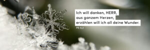 Schneeflocke, Winter