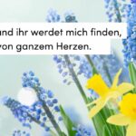 Blumen, Frühling, Osterzeit