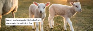 Ostern, Lamm