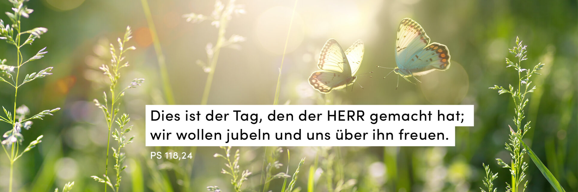 Alles Gute kommt von oben Bistum Osnabrück