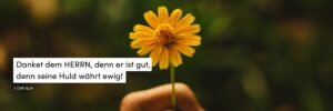 Blume, Dankbarkeit