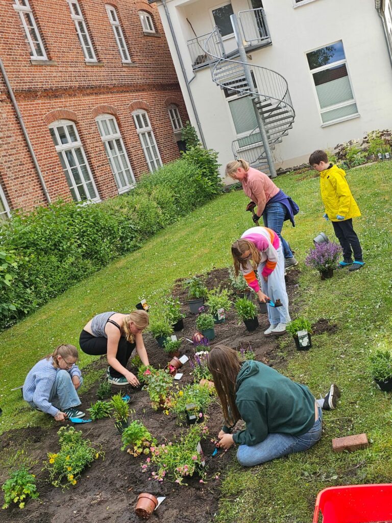 Wo im vergangenen Jahr noch Kartoffeln wuchsen, werden jetzt von den Lichterkindern aus Quakenbrück insektenfreundliche Blumen und Stauden angepflanzt.