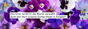 Blumen