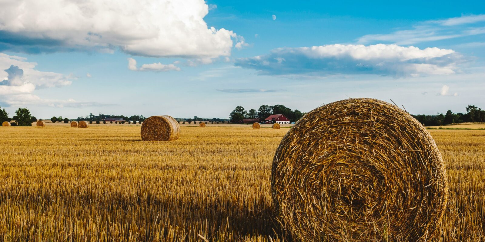 Strohballen auf dem Feld