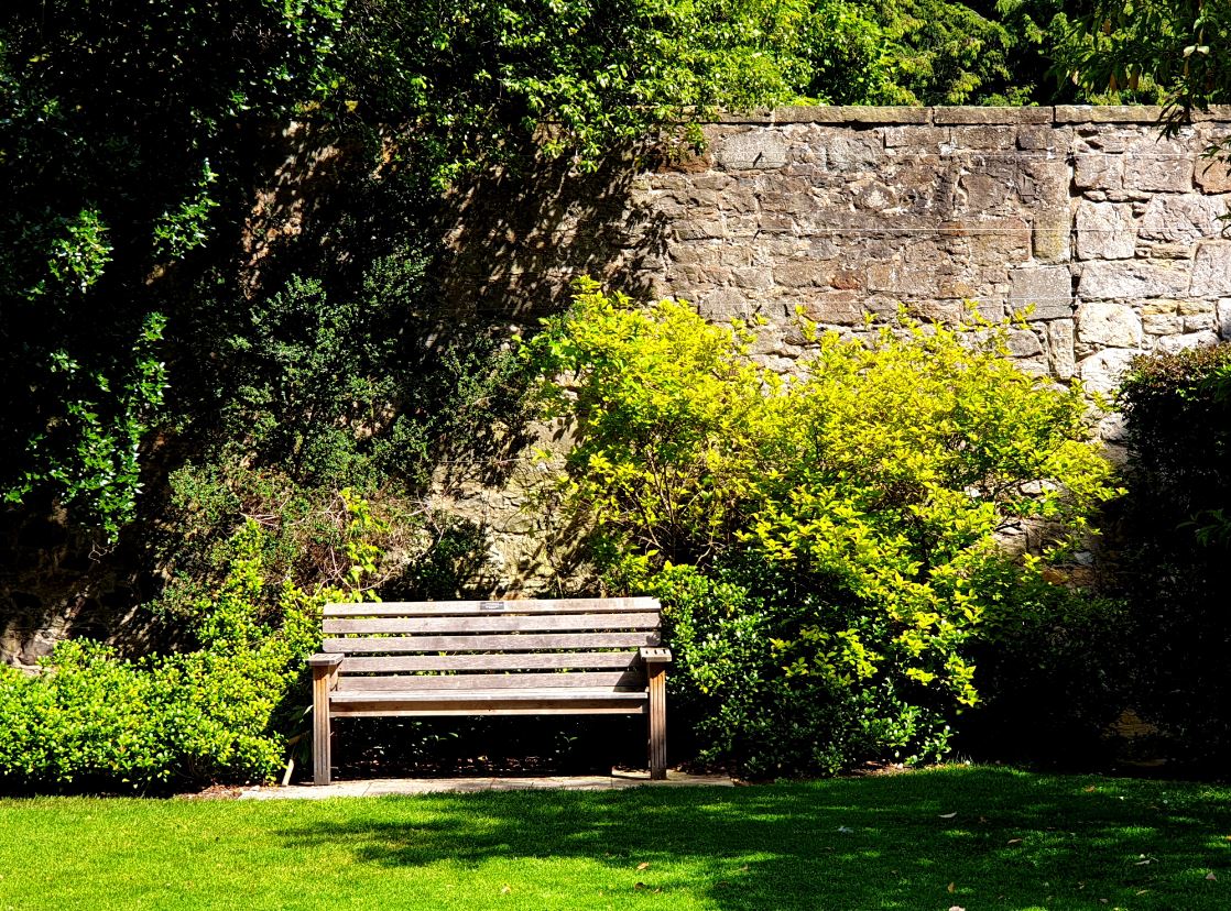 Bank im Park