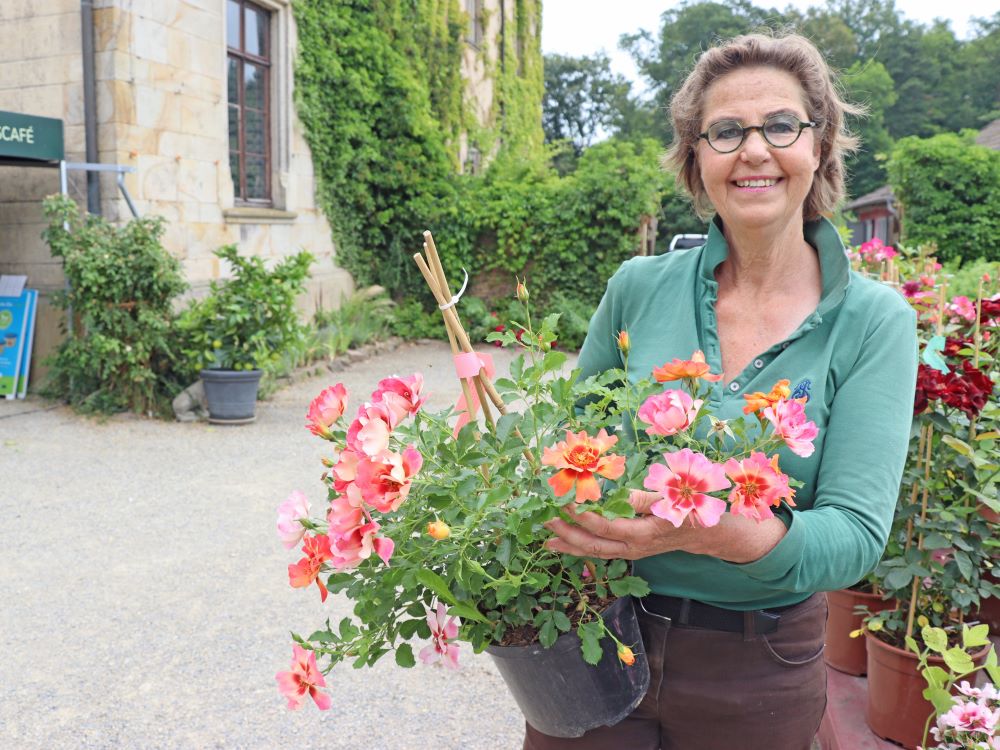 Blumen am Schloss Ippenburg