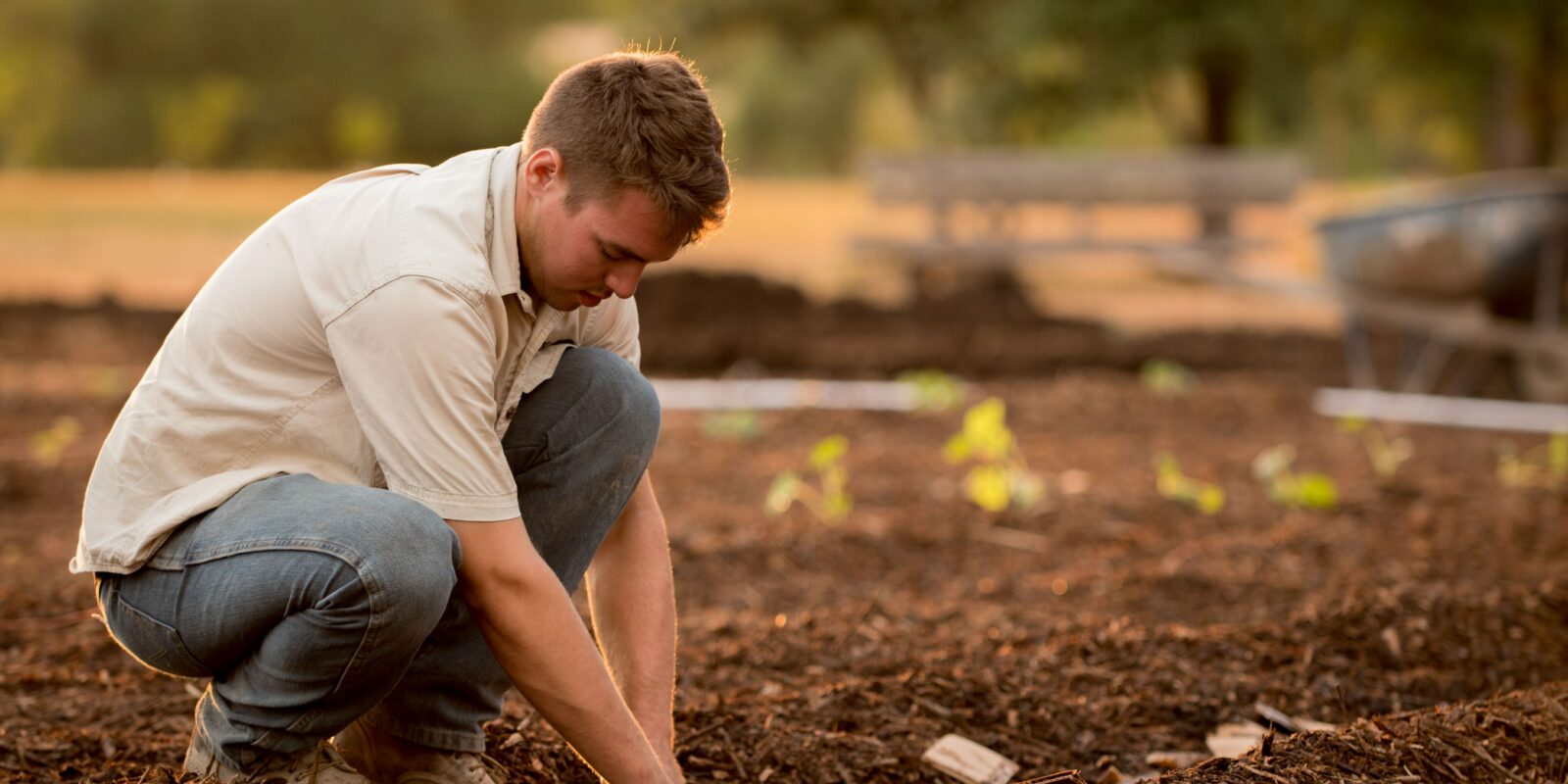 Bauern, Landwirtschaft, Garten, Gartenarbeit