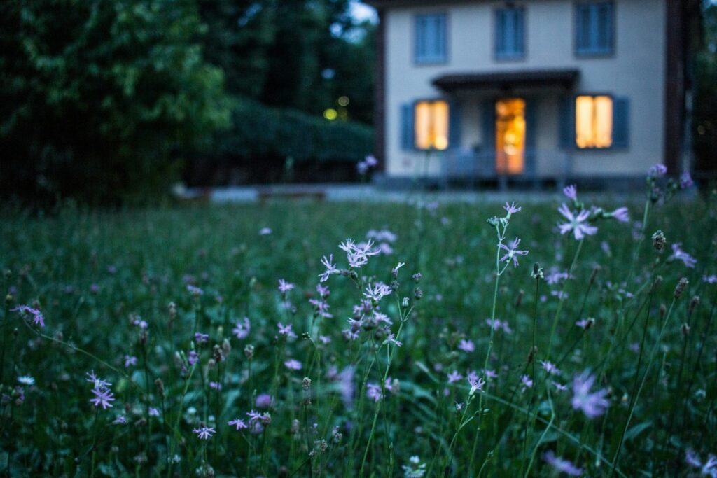 Wiese mit Haus im Hintergrund