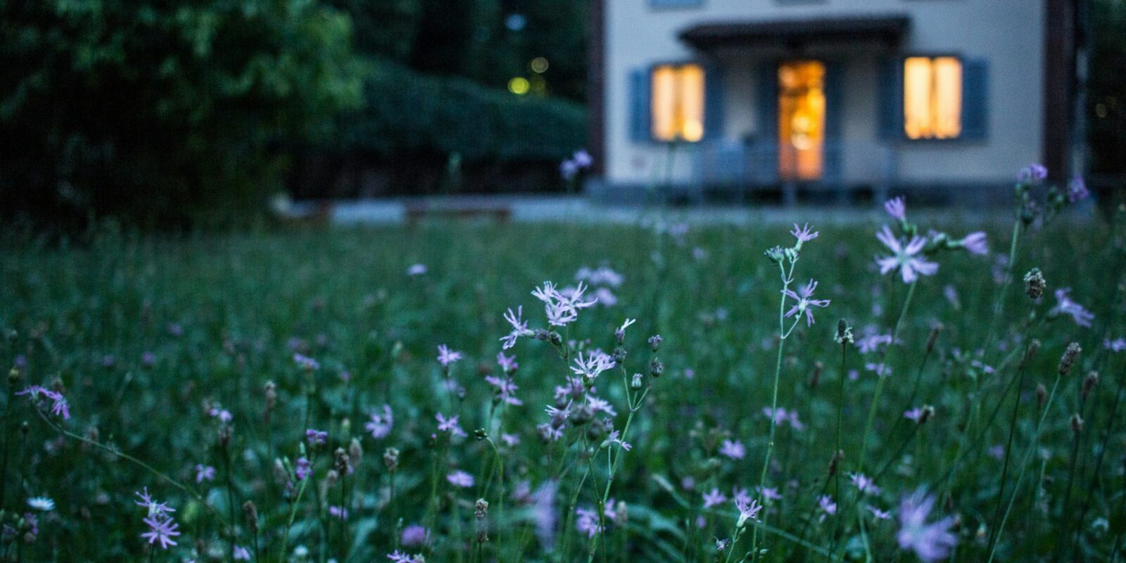 Wiese mit Haus im Hintergrund