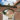 Offenes Tor