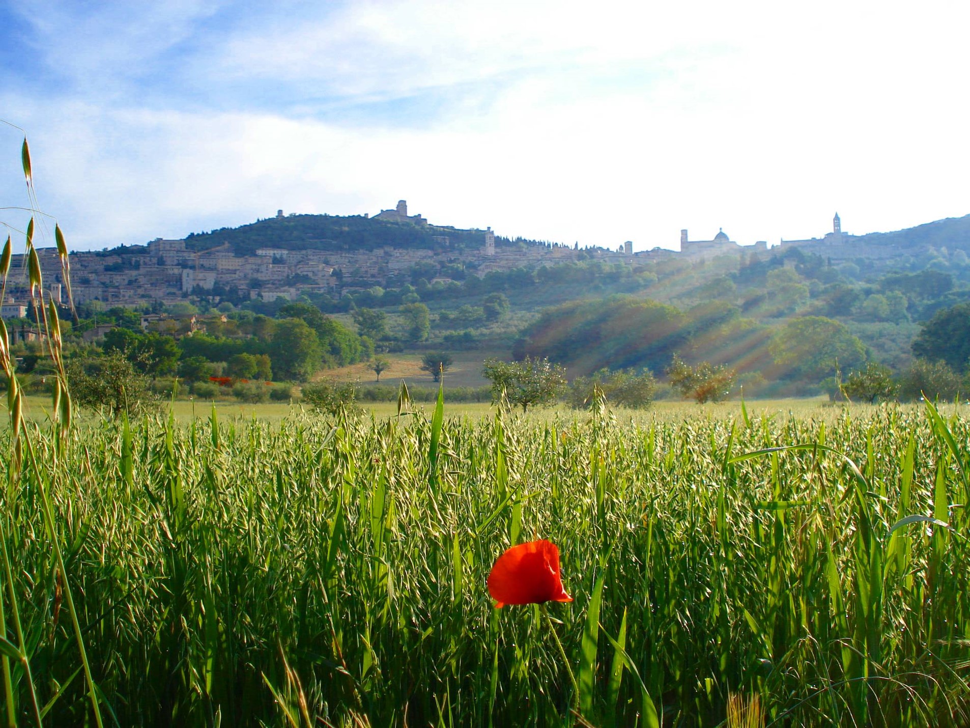 Assisi